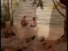 wmplayer_2008-06-20_22-06-08-21.jpg